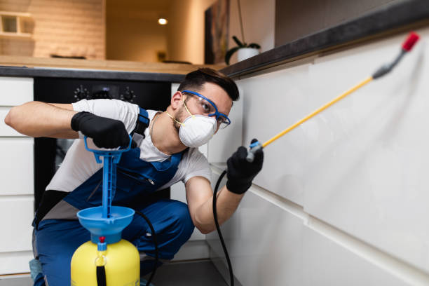 Best Best Pest Control Companies  in Blountstown, FL