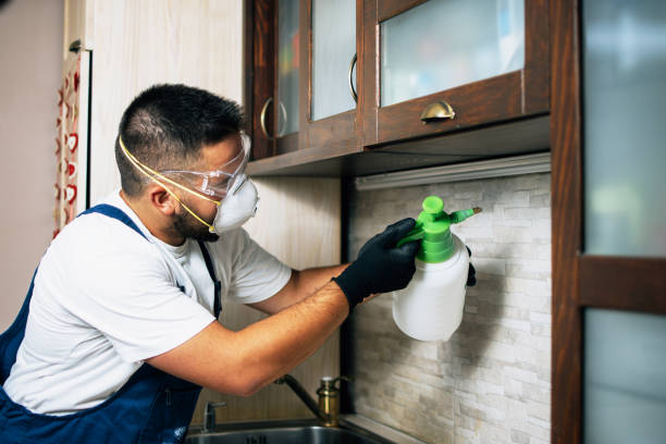 Best Pest Removal Services  in Blountstown, FL