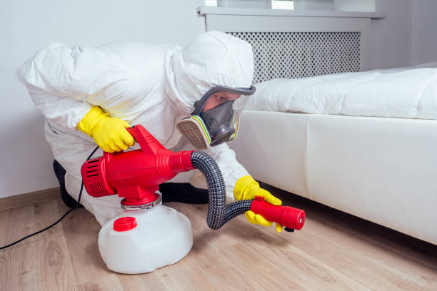 Trusted Blountstown, FL Pest Control Experts