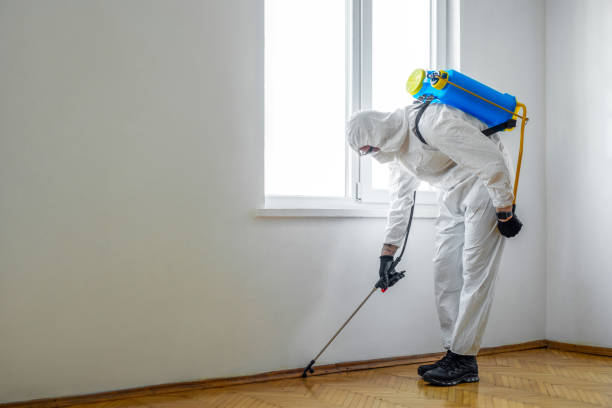 Best Local Pest Control Services  in Blountstown, FL